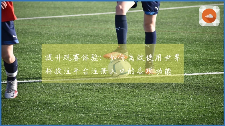 提升观赛体验：如何高效使用世界杯投注平台注册入口的各项功能