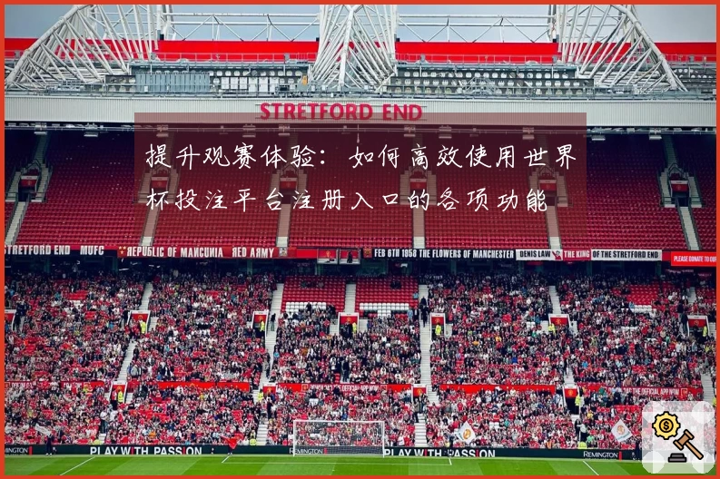 提升观赛体验：如何高效使用世界杯投注平台注册入口的各项功能