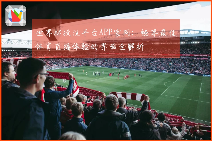 世界杯投注平台APP官网：畅享最佳体育直播体验的界面全解析