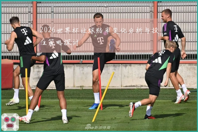 2026世界杯让球赔率变化分析与投注策略探讨