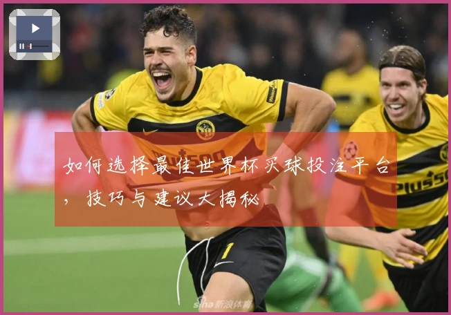 如何选择最佳世界杯买球投注平台，技巧与建议大揭秘