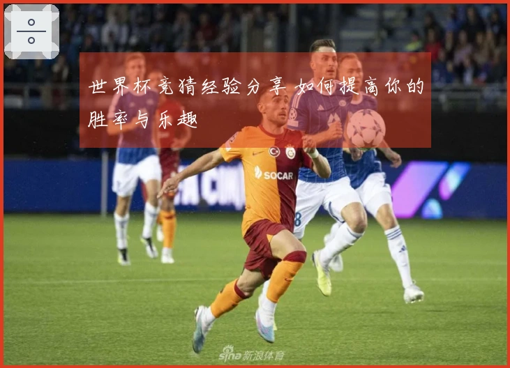 世界杯竞猜经验分享 如何提高你的胜率与乐趣