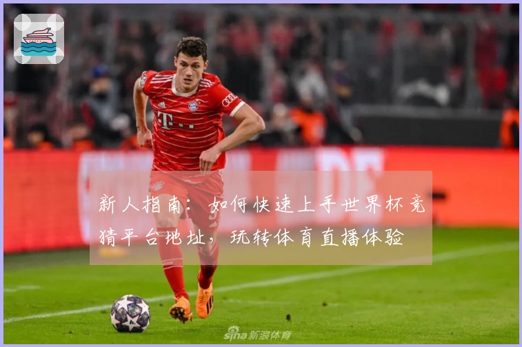 新人指南：如何快速上手世界杯竞猜平台地址，玩转体育直播体验