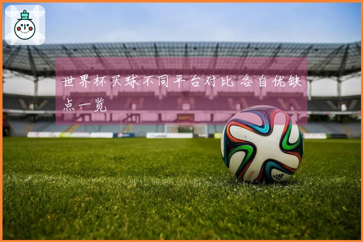 世界杯买球不同平台对比 各自优缺点一览