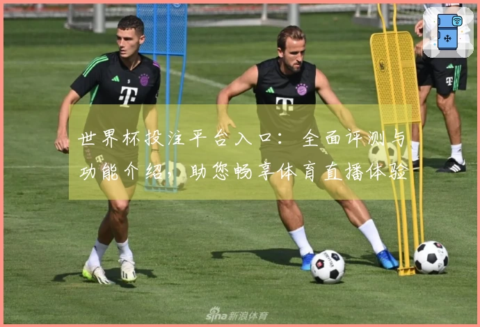 世界杯投注平台入口：全面评测与功能介绍，助您畅享体育直播体验