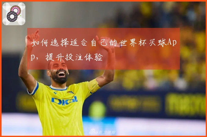 如何选择适合自己的世界杯买球App，提升投注体验
