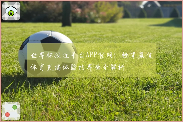 世界杯投注平台APP官网：畅享最佳体育直播体验的界面全解析