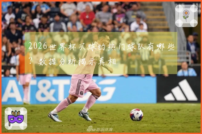 2026世界杯买球的热门球队有哪些？数据分析揭示真相