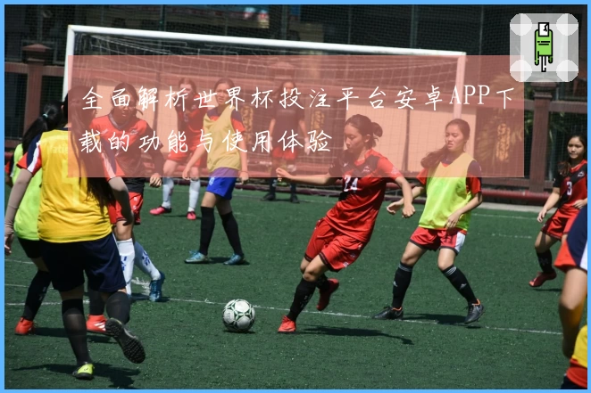 全面解析世界杯投注平台安卓APP下载的功能与使用体验