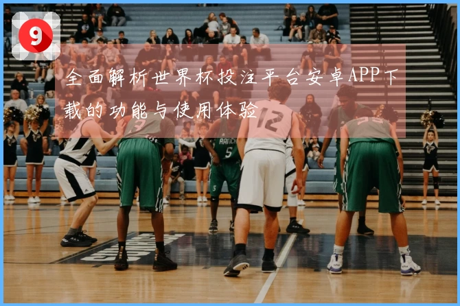 全面解析世界杯投注平台安卓APP下载的功能与使用体验