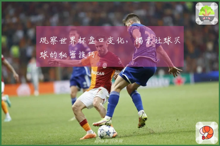 观察世界杯盘口变化，揭示让球买球的秘密技巧